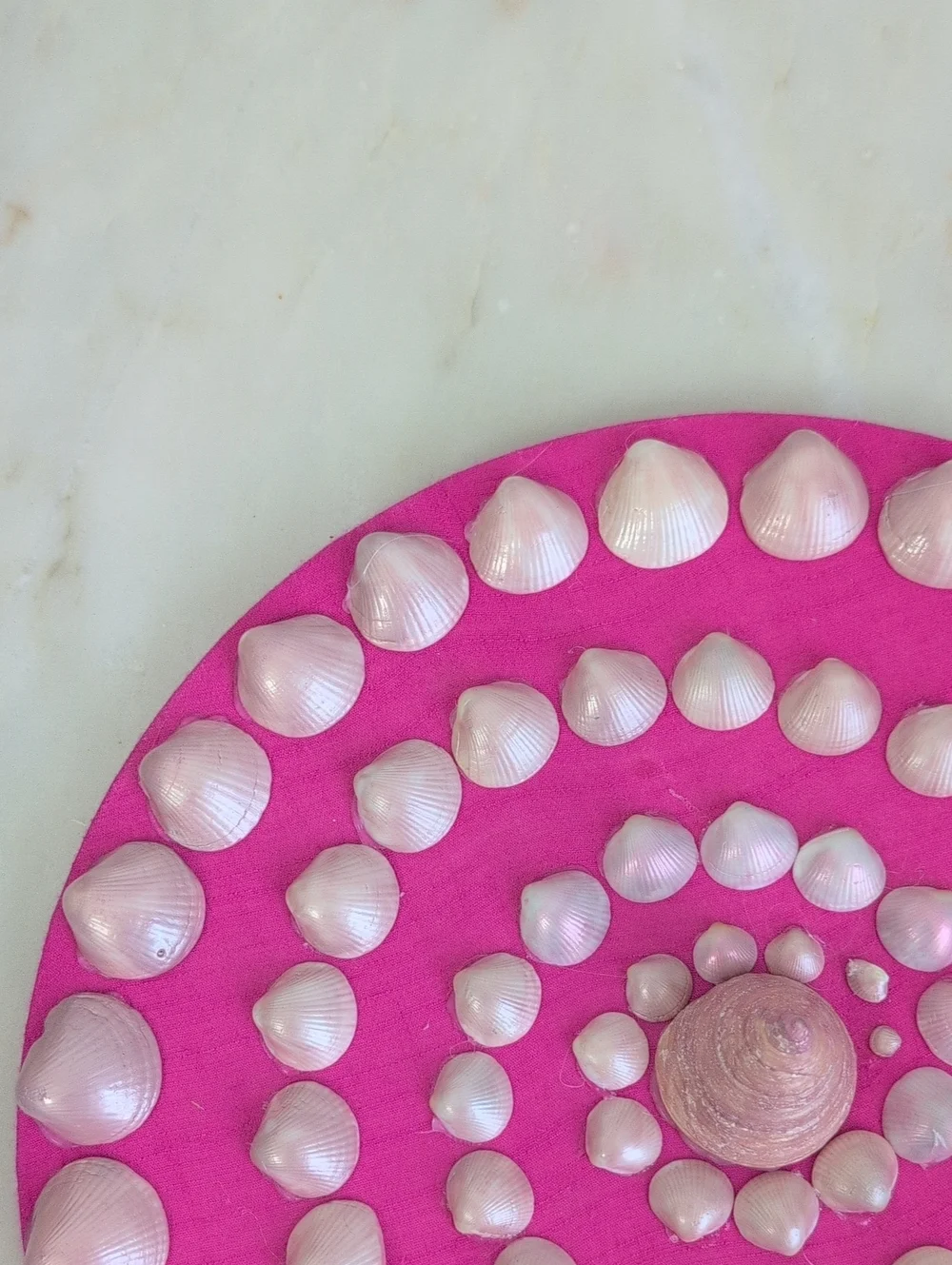Coastal SeaShell Decorative Wall Art 12in Pink Background
